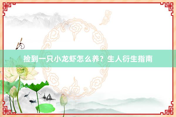捡到一只小龙虾怎么养？生人衍生指南